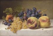 Johann Wilhelm Preyer, A Still Life with Peaches and Grapes on a Marble Ledge